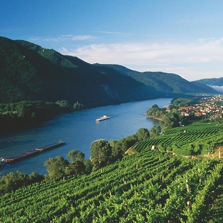 شقة In Der Wachau ويسنكرخن ان دي المظهر الخارجي الصورة