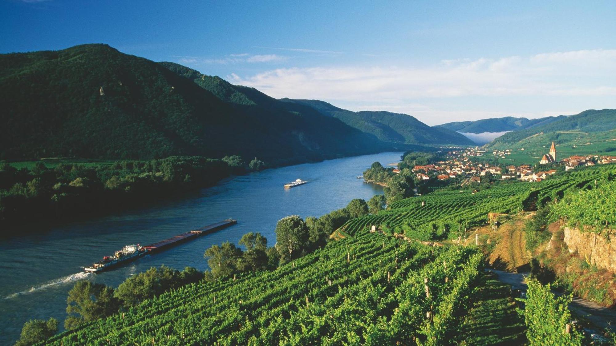 شقة In Der Wachau ويسنكرخن ان دي المظهر الخارجي الصورة